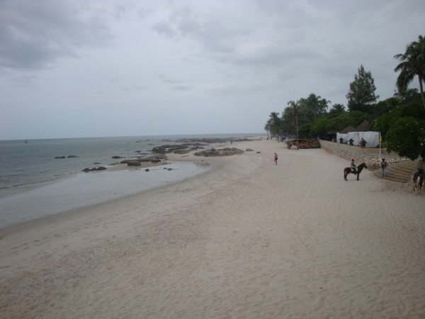 DSC06794.jpg