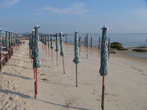 P1000077.JPG