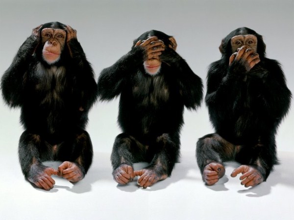 3 monkeys.jpg