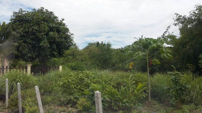 20150802_104652.jpg