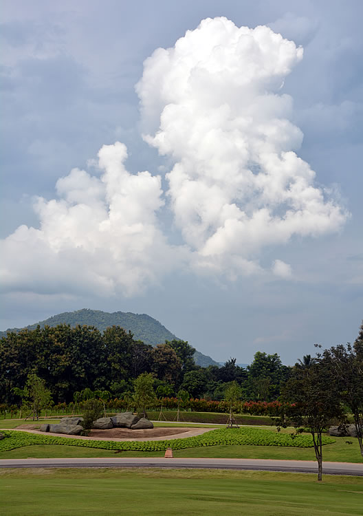 DSC_2100.jpg