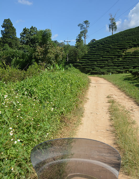 DSC_2216.jpg