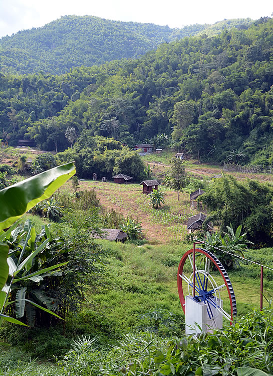 DSC_2221.jpg