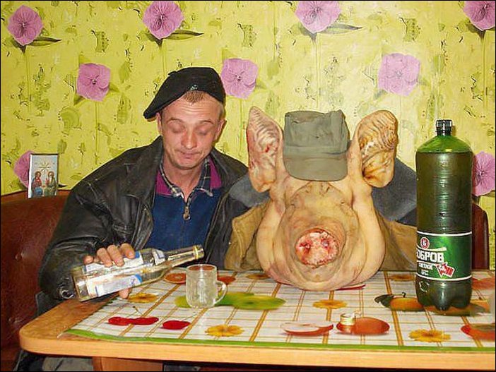 pig.jpg