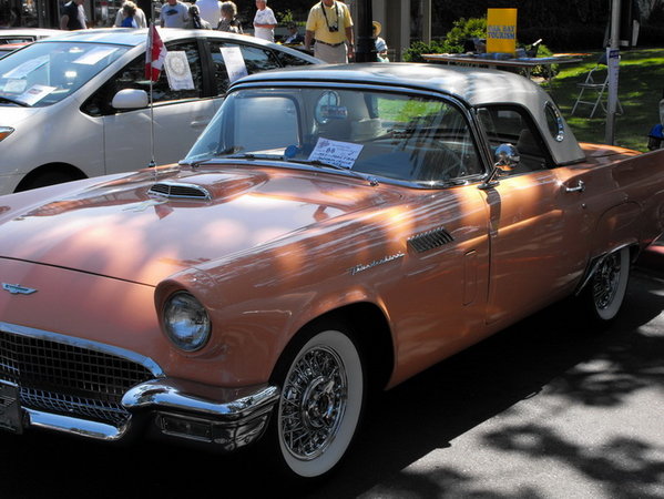 57T-Bird.jpg