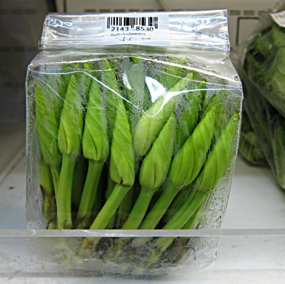 unknownVeg_2635-8s.jpg