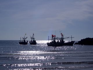IMGP4192.jpg