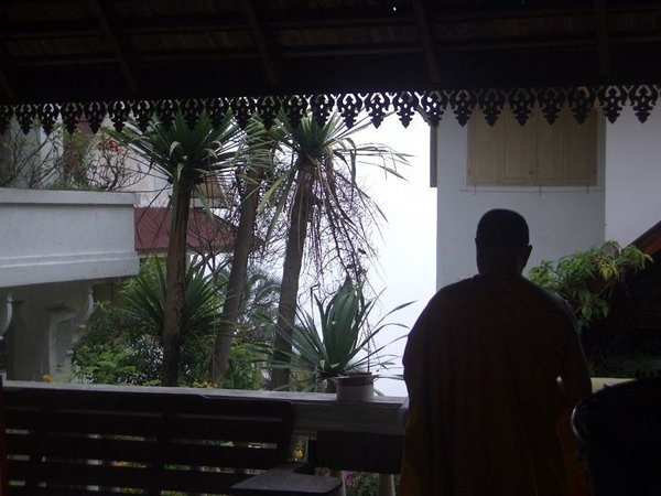 IMGP4976-2.jpg