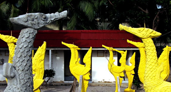 bigBird800.JPG