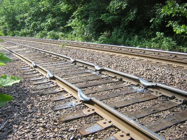 track2.jpg