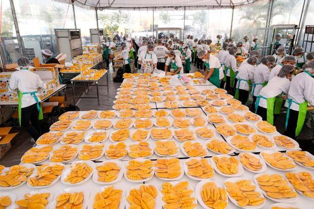Workers prepare plates of mango with sticky rice, a popular local dessert for thousands of Chinese tourists, in an outdoor banquet in Muang Thong Thani in Nonthaburi province outside Bangkok on Jan 20, 2019 as part of a government promotion to attract more Chinese tourists. The huge event aims to set a Guinness World Record for the largest serving of mango sticky rice.