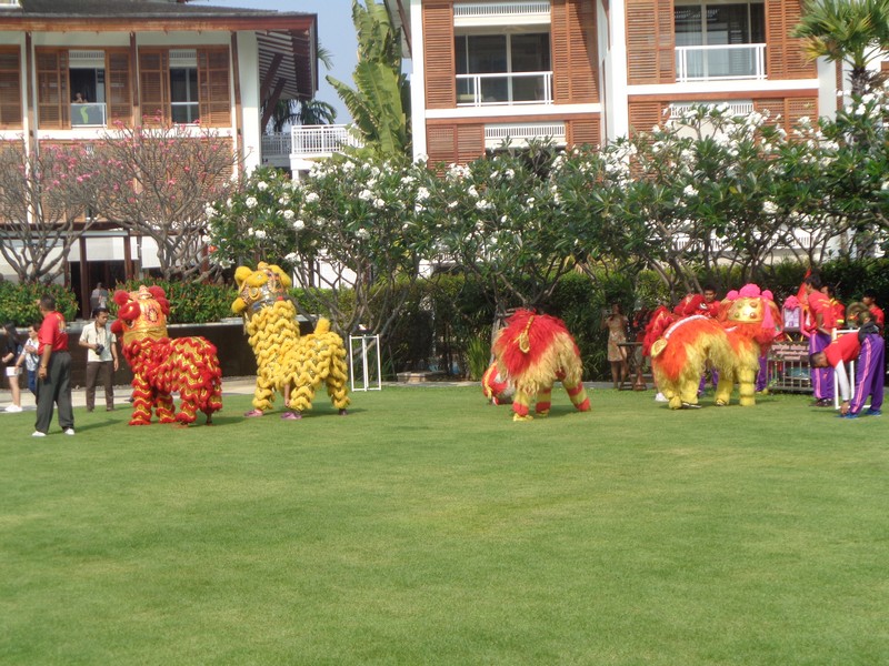 DSC01124.jpg