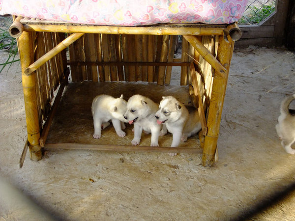 DSCF3108.JPG