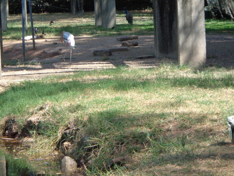 DSC01122.jpg