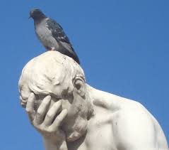 Bird.jpg