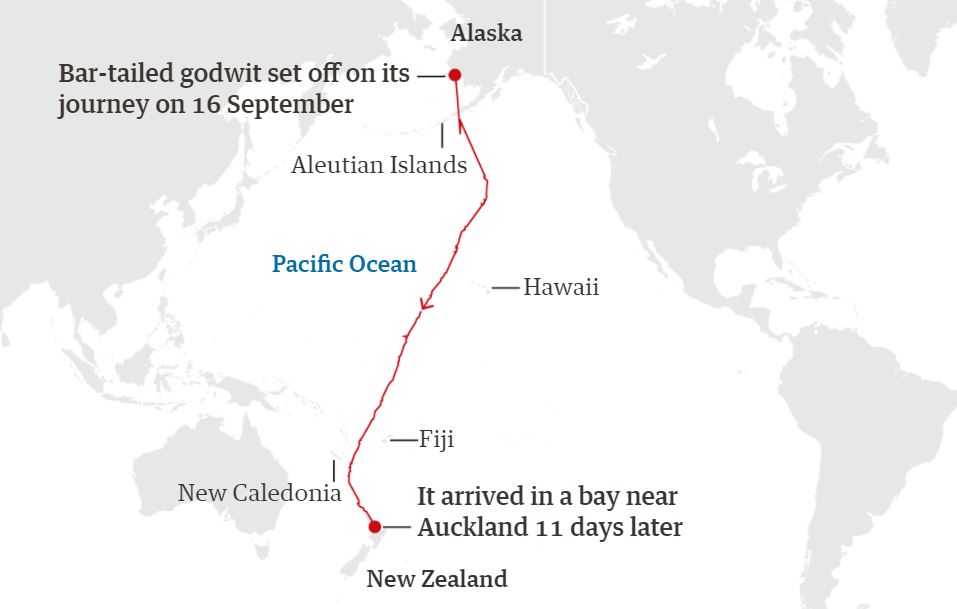 MAP.JPG