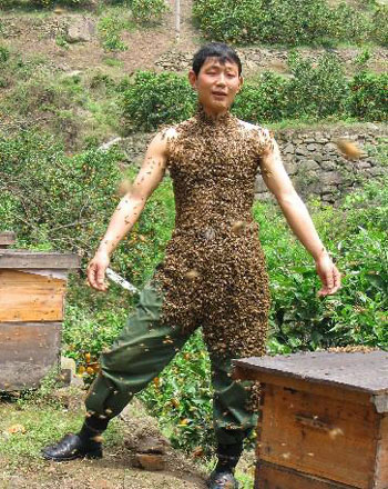 bee.jpg