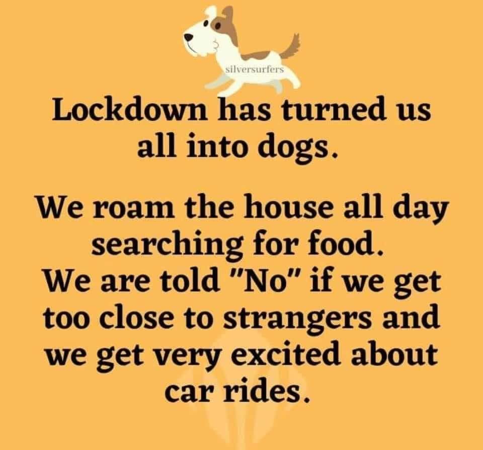 humour.jpg