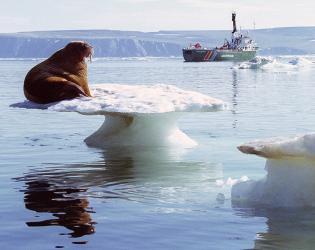 chukchi_33222b.jpg