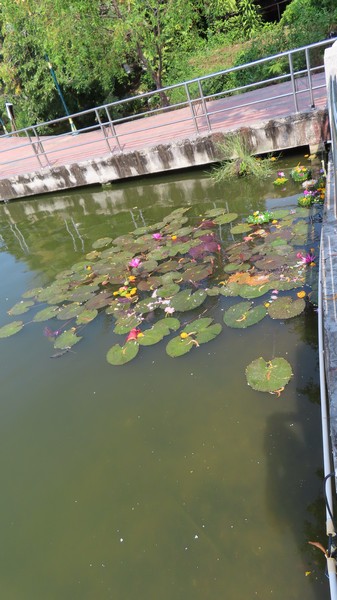 IMG_4390.jpg