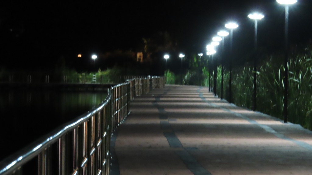 IMG_4794.JPG
