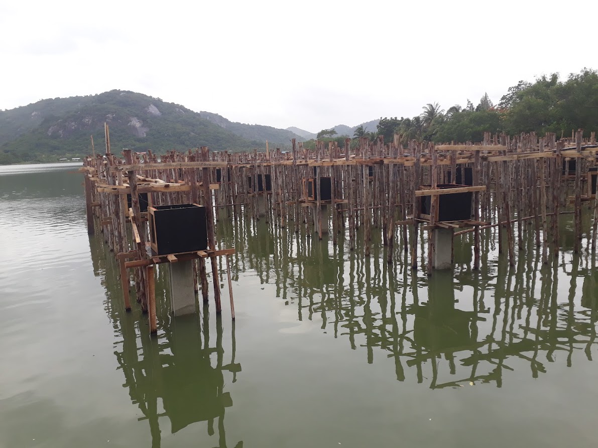 lake.jpg