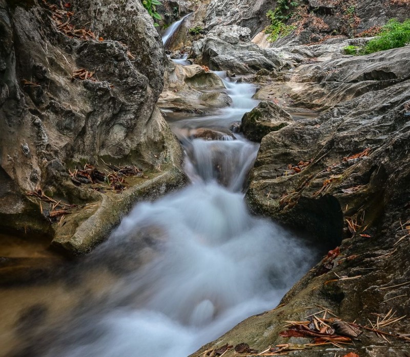 DSC_2144.jpg