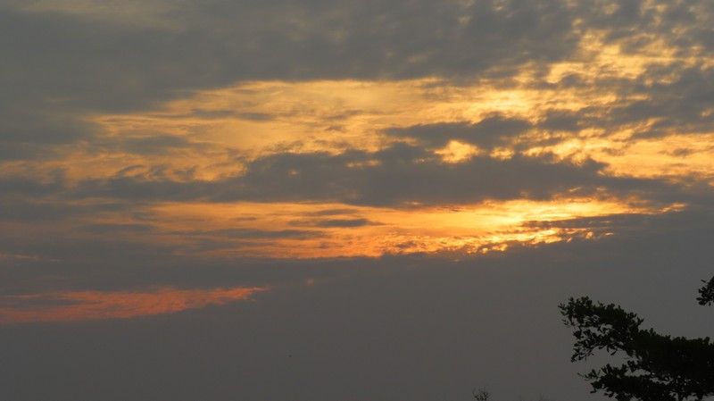 IMG_7200.jpg
