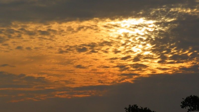 IMG_7202.jpg