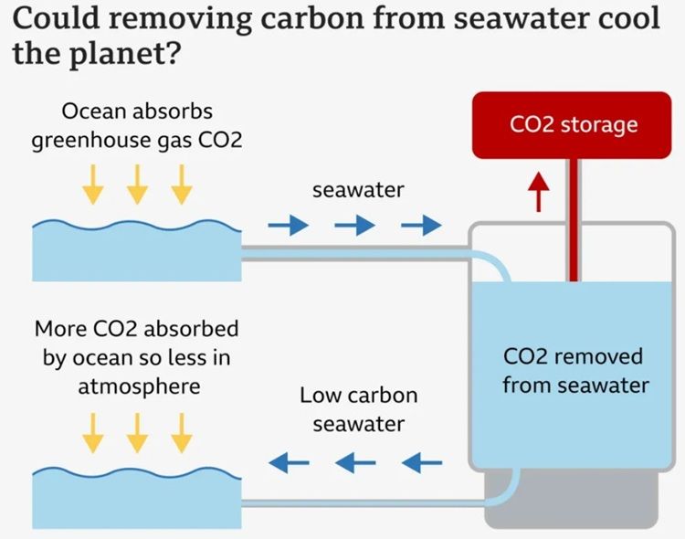 Seacure.jpg