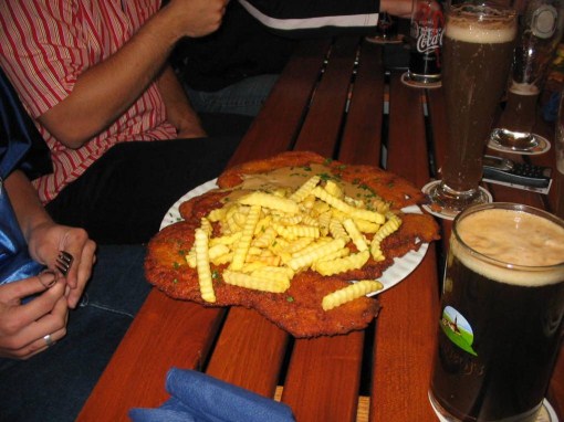 Snitzel (510 x 382).jpg
