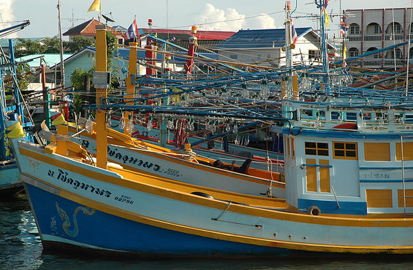DSC_8767.jpg