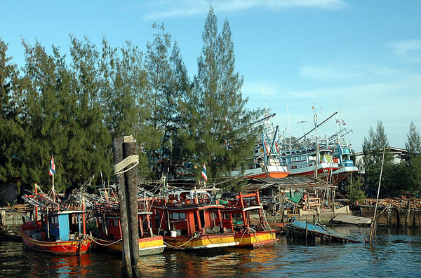 DSC_8776.jpg