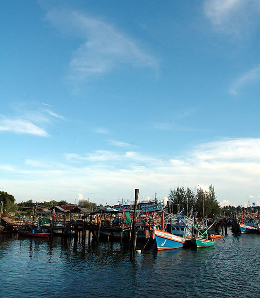 DSC_8779.jpg
