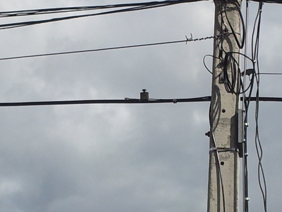 20121128_093115b.jpg