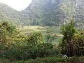 20130114_103321.jpg
