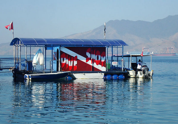 DSC09800.jpg