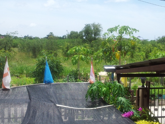 20130807_120535b.jpg