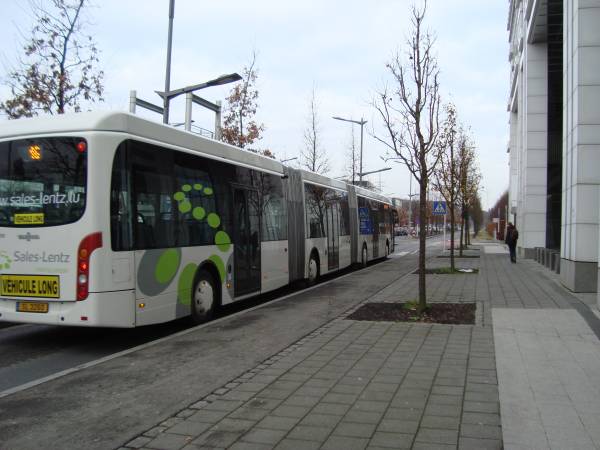 Luxbus.jpg